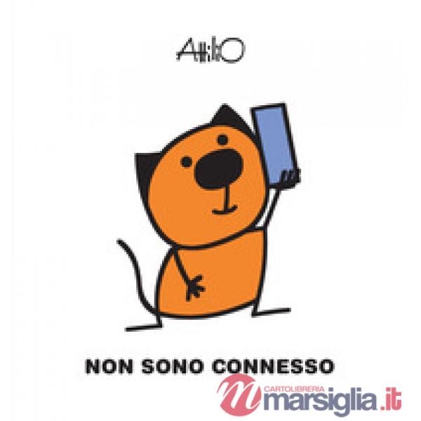 Non sono connesso