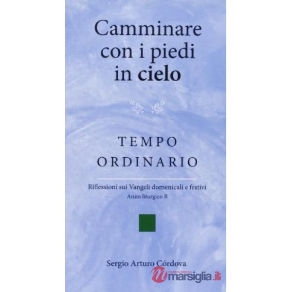 Camminare con i piedi in cielo. Tempo ordinario. Riflessioni sui Vangeli domenic