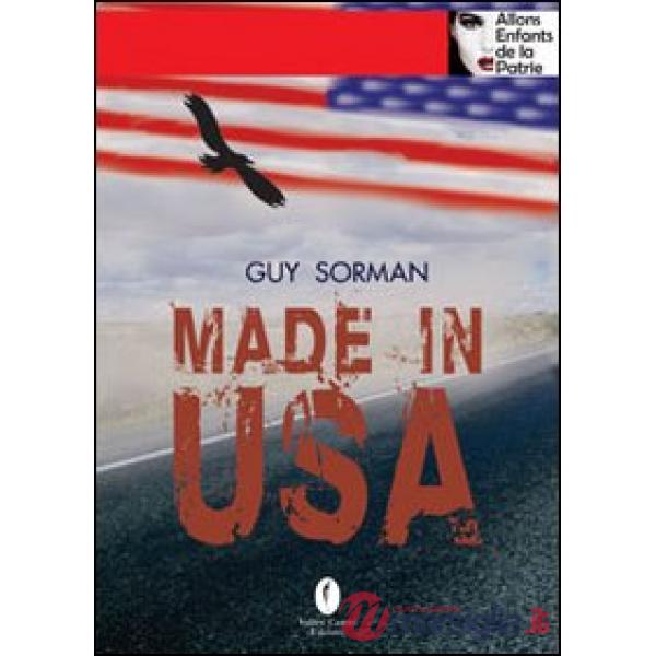 Made in Usa. Sguardi sulla cultura americana
