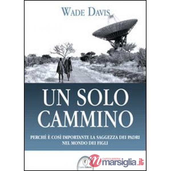 Solo cammino (Un)