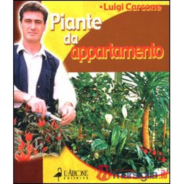 Piante da appartamento