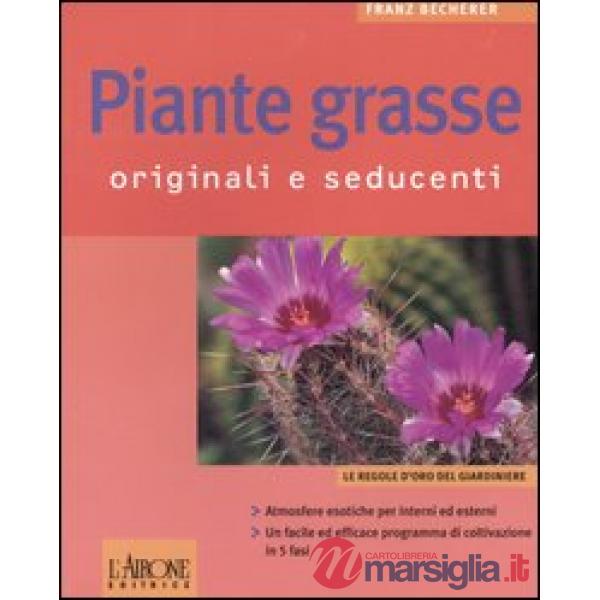 Piante grasse. Originali e seducenti