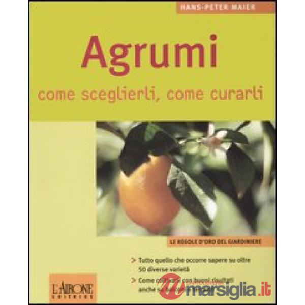 Agrumi. Come sceglierli, come curarli