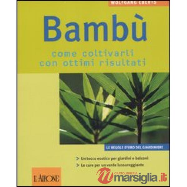 Bambù. Come coltivarli con ottimi risultati