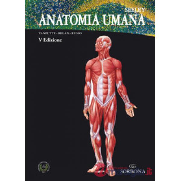 Anatomia umana