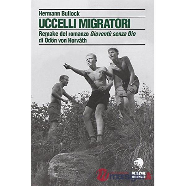 Uccelli migratori. Remake del romanzo «Gioventù senza Dio» di Odon von Horvath