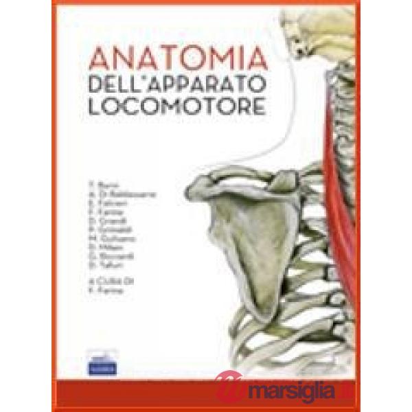 Anatomia dell'apparato locomotore