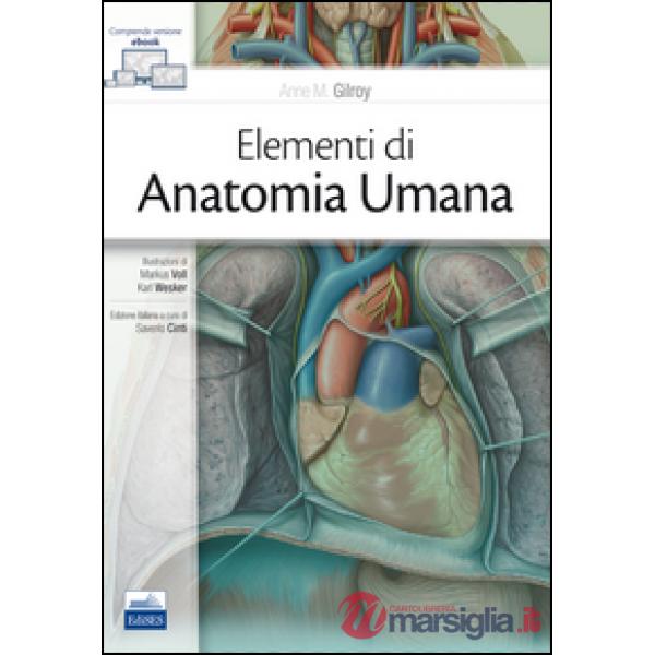 Elementi di anatomia umana
