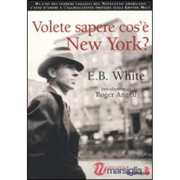 Volete sapere cos'è New York?