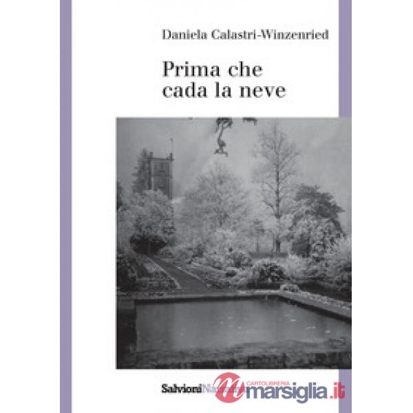 Prima che cada la neve