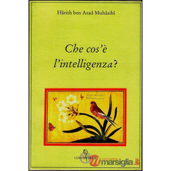 Che cos'è l'intelligenza