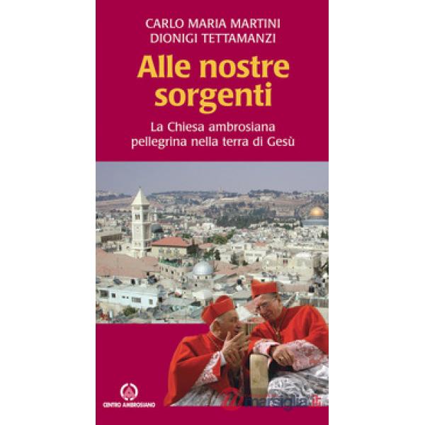 Alle nostre sorgenti. La Chiesa ambrosiana pellegrina nella terra di Gesù
