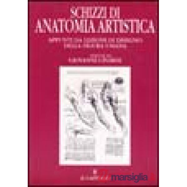 Schizzi di anatomia. Appunti da lezioni di disegno della figura umana