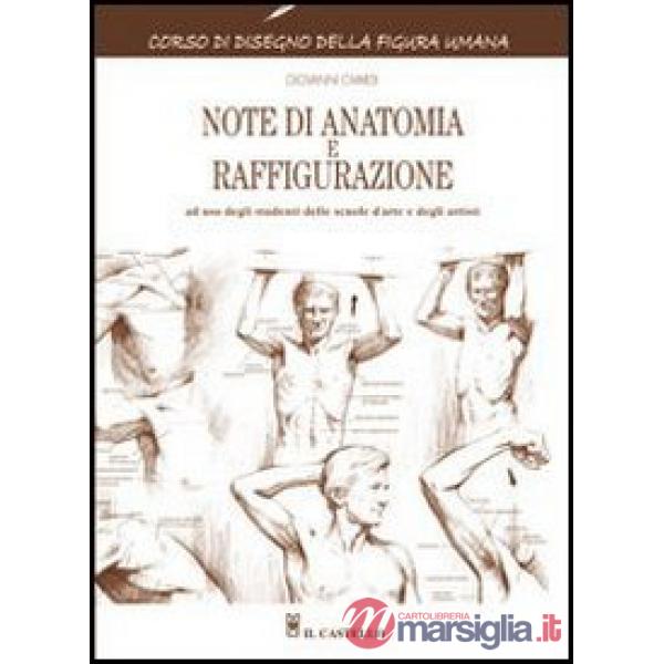 NOTE DI ANATOMIA E RAFFIGURAZIONE
