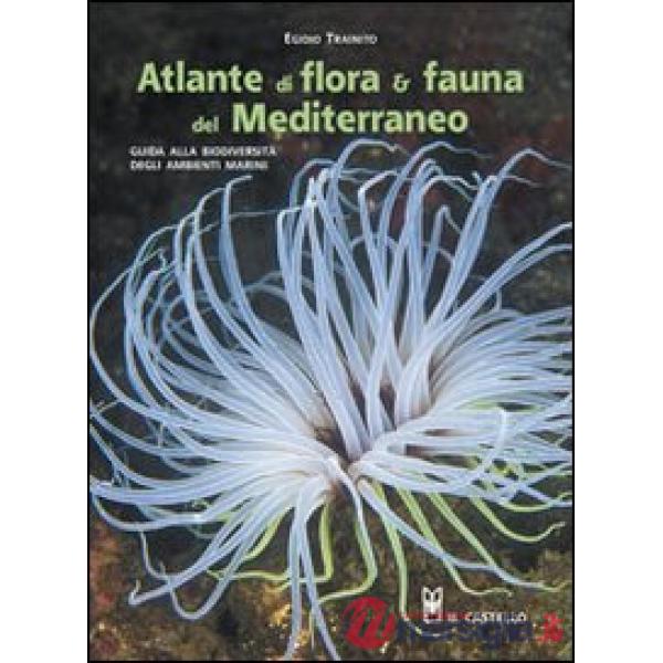 Atlante di flora & fauna del Mediterraneo. Ediz. illustrata