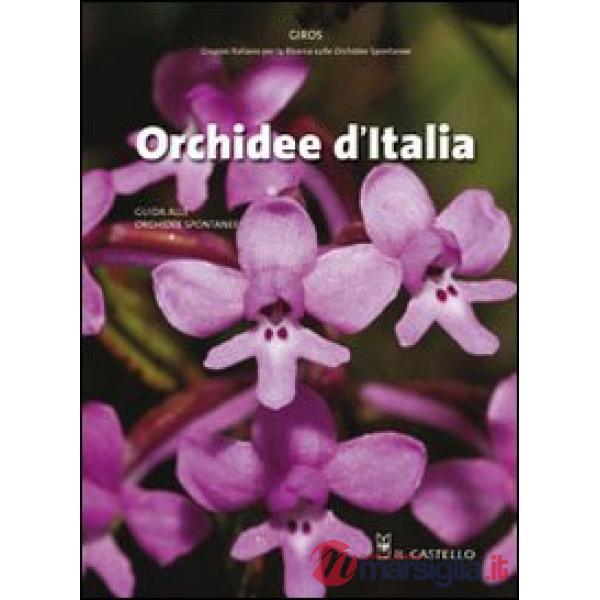 Orchidee d'Italia. Ediz. illustrata
