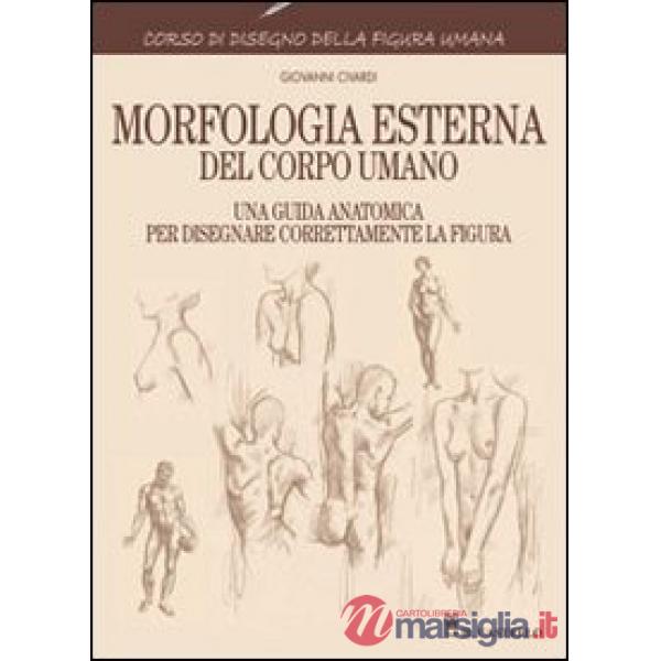 MORFOLOGIA ESTERNA DEL CORPO UMANO