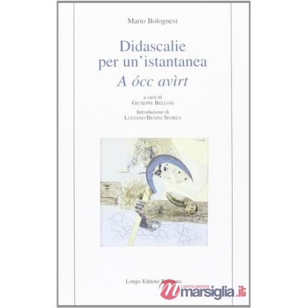 Didascalie per un'istantanea. A occ avìrt