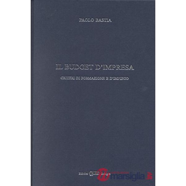 Budget d'impresa. Criteri di formazione e di impiego (Il)