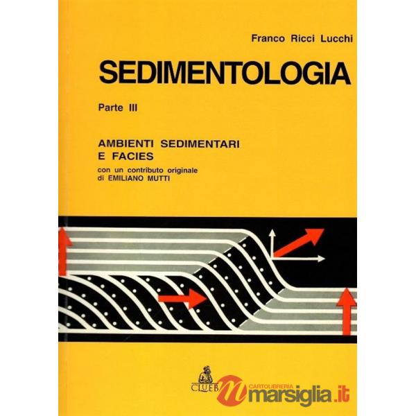 Sedimentologia. Vol. 3: Ambienti sedimentari e facies