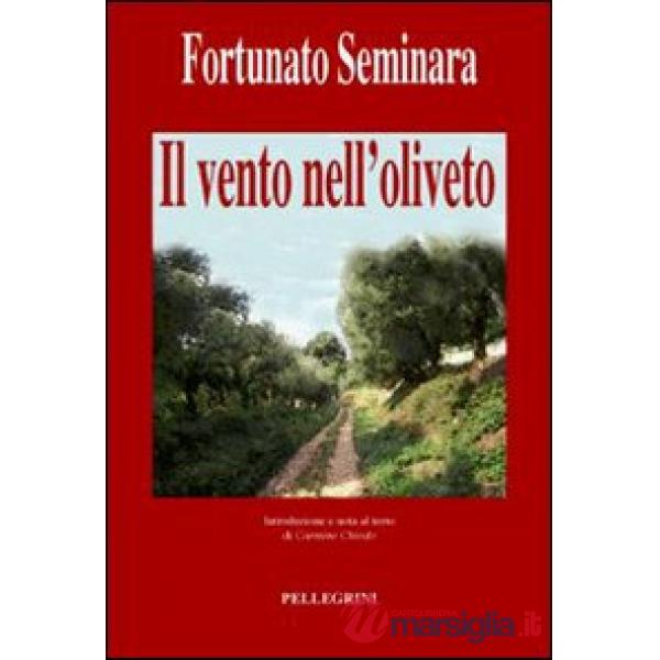Vento nell'oliveto (Il)