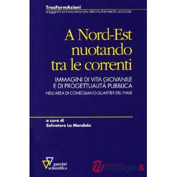 A nord-est nuotando tra le correnti. Immagini di vita giovanile e di progettualità pubblica nell'area di Conegliano-Quartier del