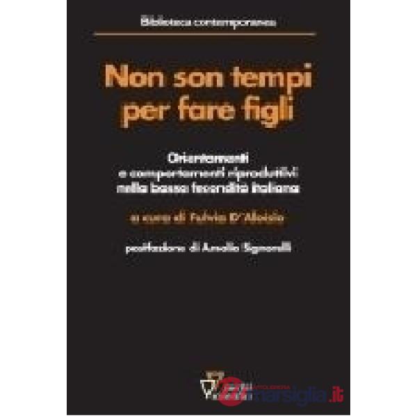 Non sono tempi per fare figli. Orientamenti e comportamenti riproduttivi nella bassa fecondità italiana