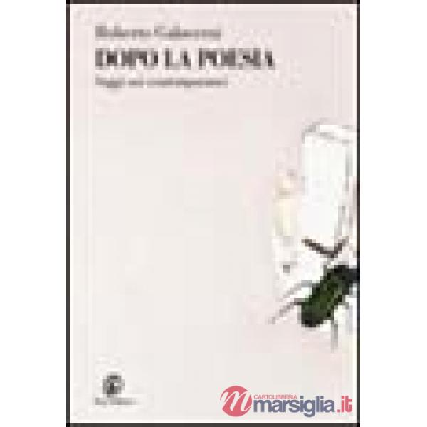 Dopo la poesia. Saggi sui contemporanei