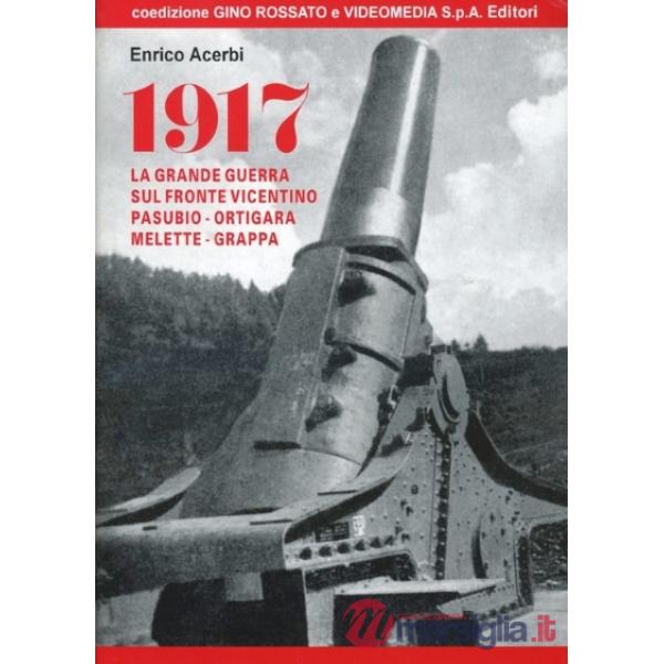 1917: la grande guerra sul fronte vicentino. Pasubio, Ortigara, Melette, Grappa. Con videocassetta