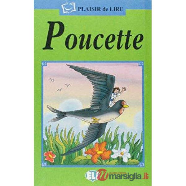 POLLICINA - SET