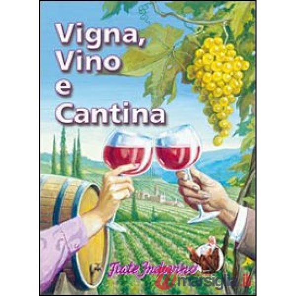 Vigna, vino e cantina
