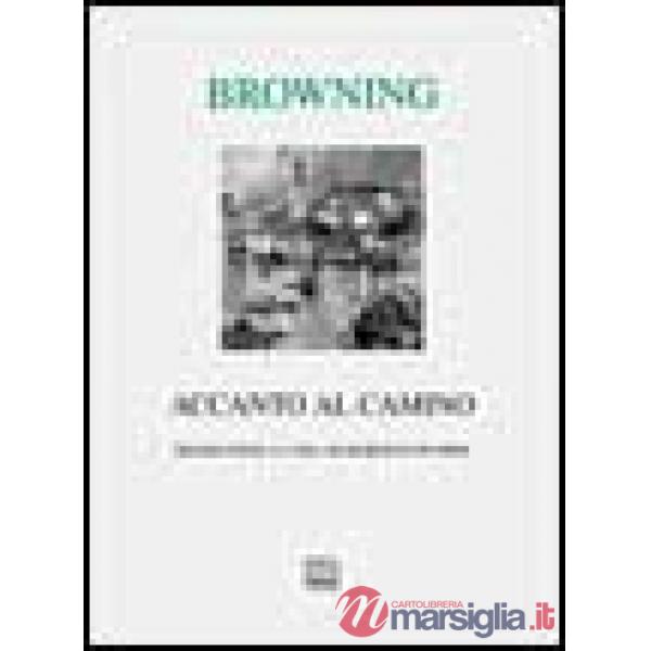 Accanto al camino e altre poesie
