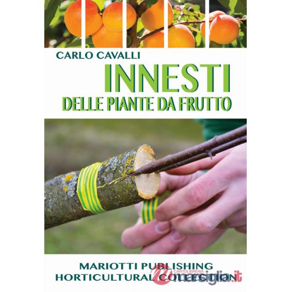 Innesti delle piante da frutto
