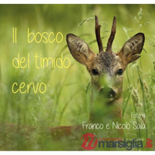 Bosco del timido cervo. Ediz. illustrata (Il)
