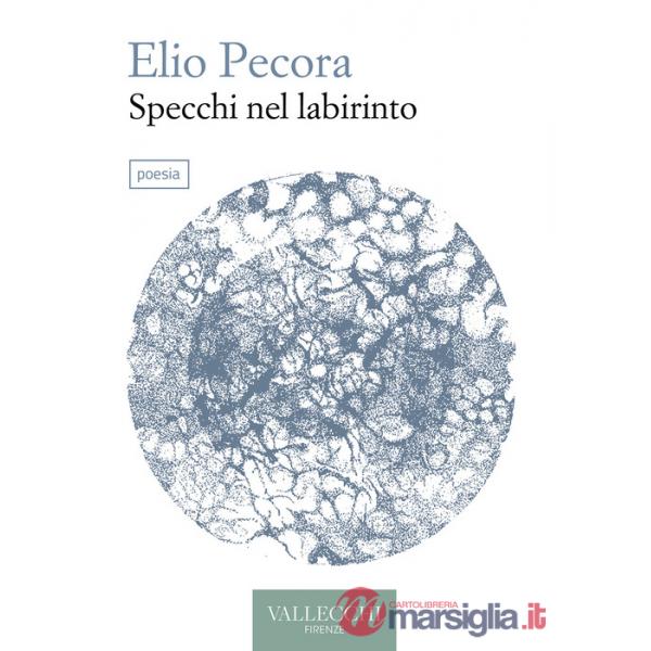 Specchi nel labirinto