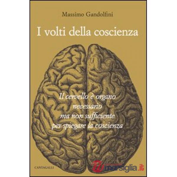 Volti della coscienza. Il cervello è organo necessario ma non sufficiente per spiegare la coscienza (I)