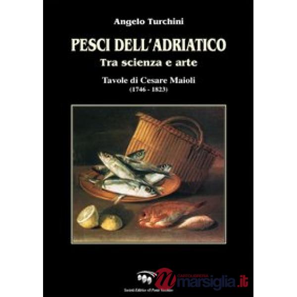 Pesci dell'Adriatico. Tra scienza e arte