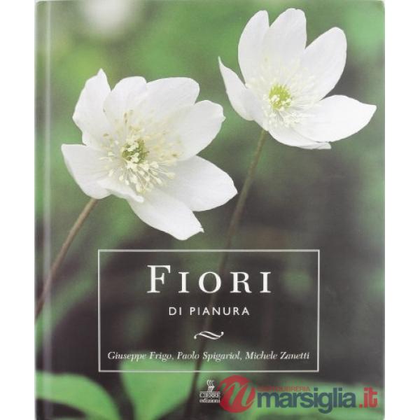 Fiori di pianura