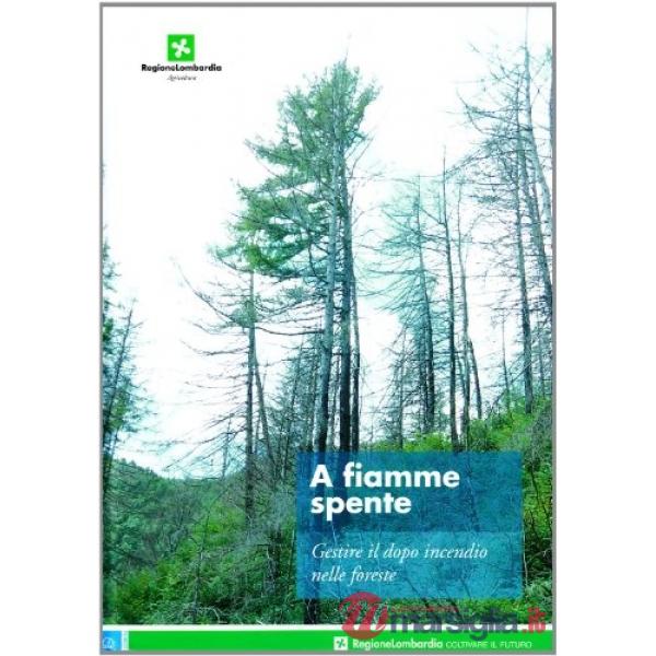 A fiamme spente. Gestire il dopo incendio nelle foreste