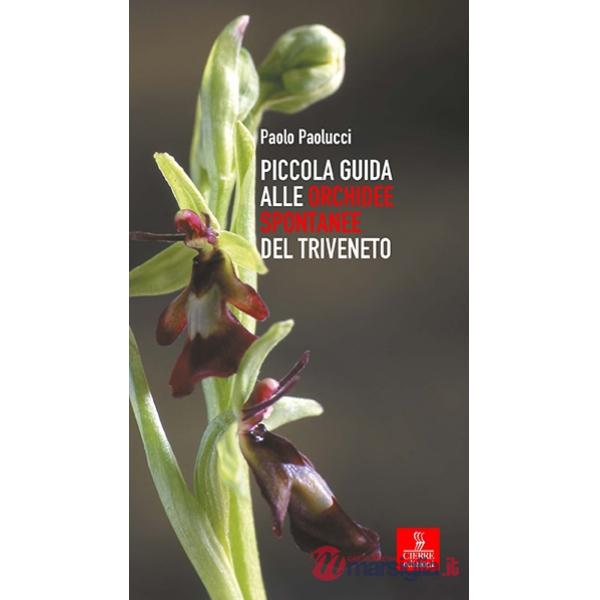 Piccola guida alle orchidee spontanee del Triveneto