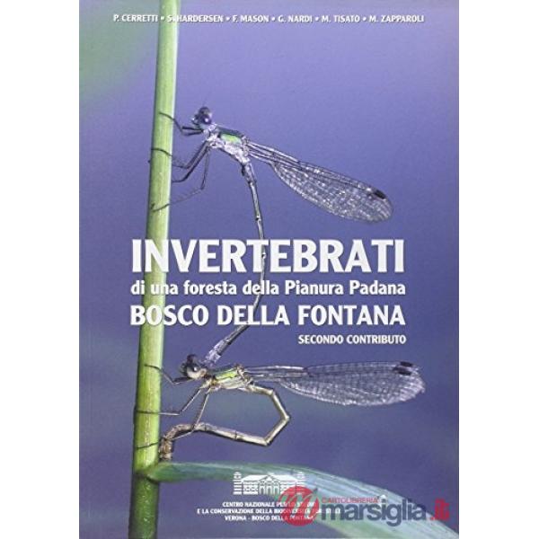 Invertebrati di una foresta nella pianura padana. Bosco della fontana