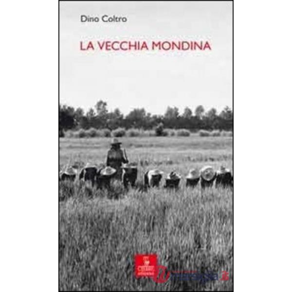 Vecchia mondina (La)