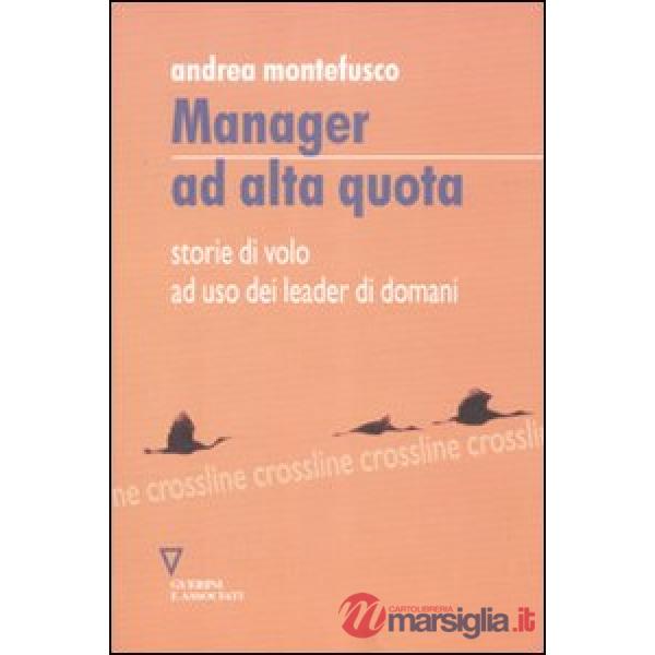 Manager ad alta quota. Storie di volo ad uso dei leader di domani