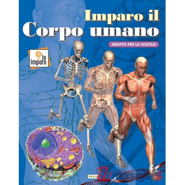 Imparo il corpo umano. Ediz. a colori