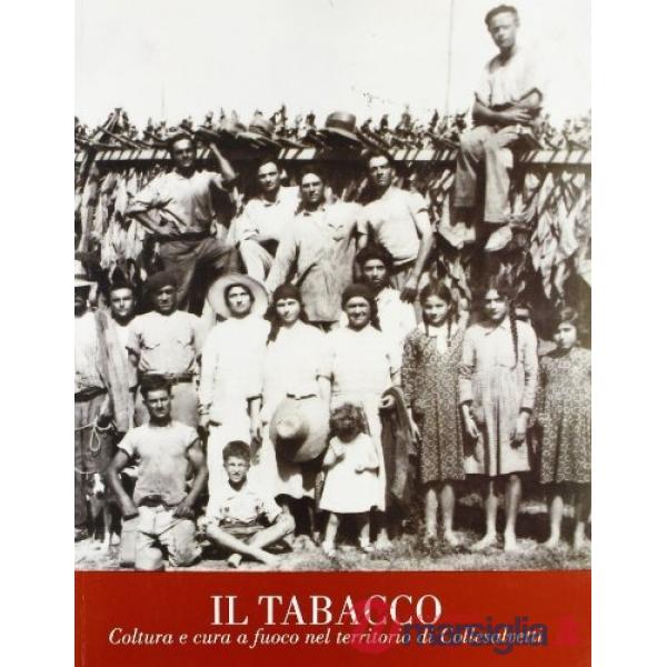 Tabacco. Coltura e cura a fuoco nel territorio di Collesalvetti (Il)