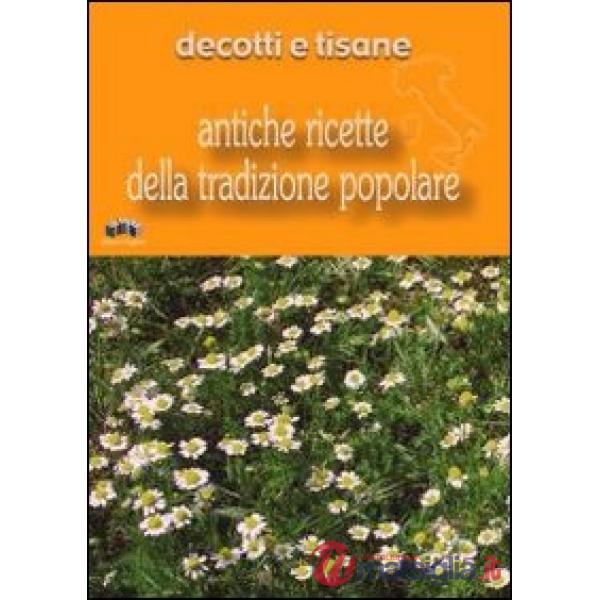 Decotti e tisane