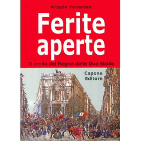 Ferite aperte. Il crollo del regno delle Due Sicilie