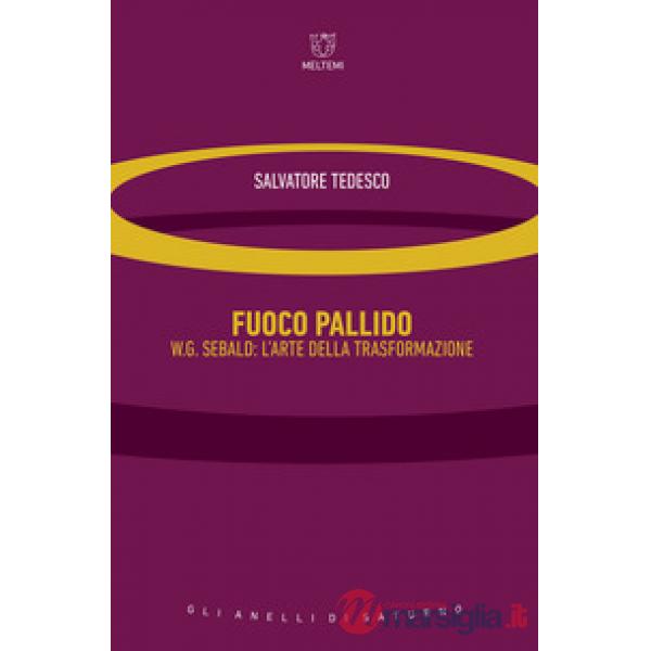 Fuoco pallido. W.G. Sebald: l'arte della trasformazione