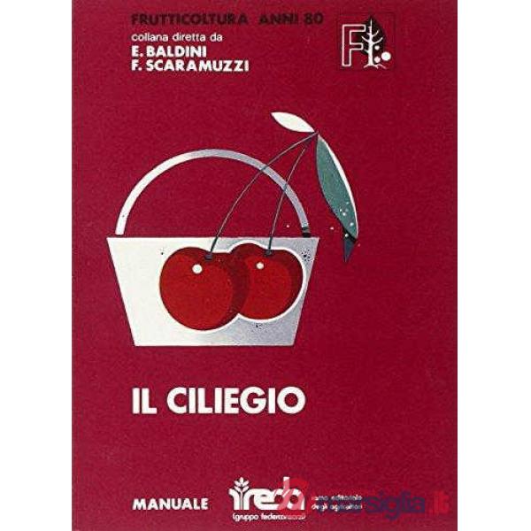 CILIEGIO