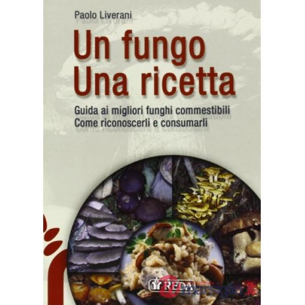 FUNGO UNA RICETTA